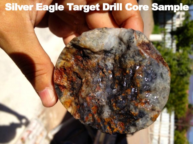 SE Drill Core Sample