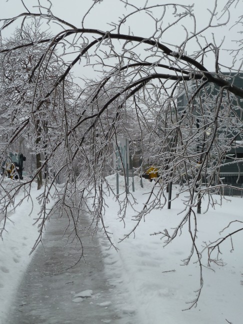 Montreal Storm