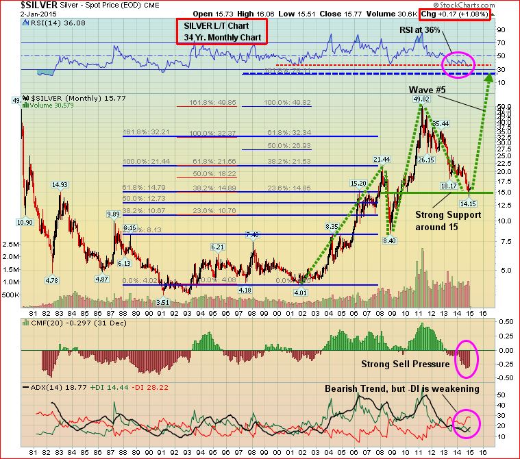 SILVER5(1)