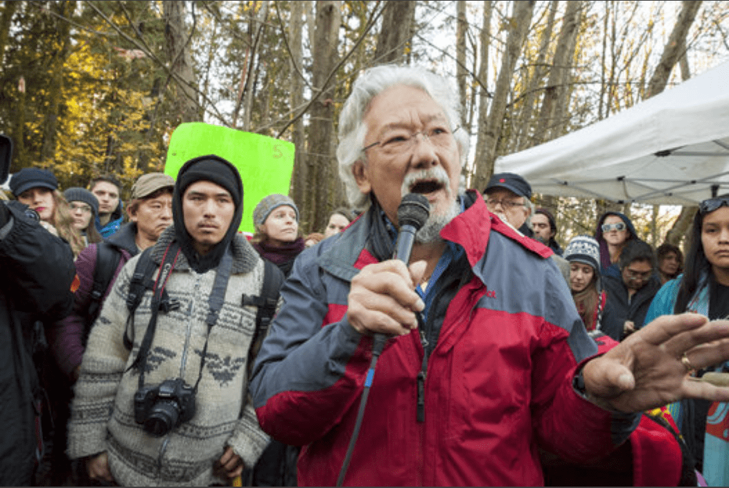 david-suzuki-min